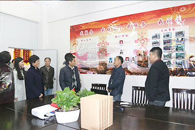 专家组考察党建活动场所